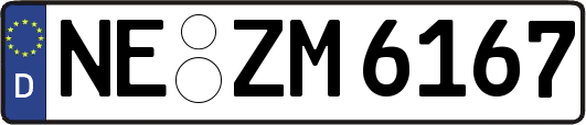 NE-ZM6167