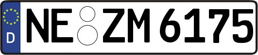 NE-ZM6175
