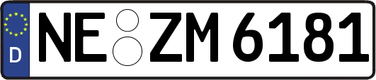 NE-ZM6181