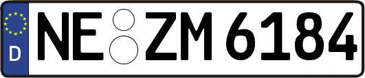 NE-ZM6184