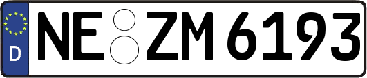 NE-ZM6193