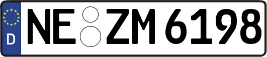 NE-ZM6198