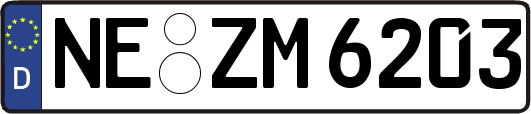 NE-ZM6203