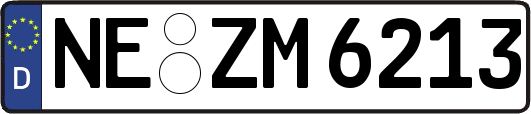 NE-ZM6213