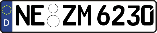 NE-ZM6230