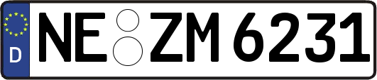 NE-ZM6231