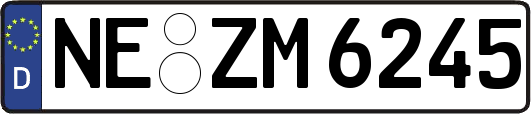 NE-ZM6245