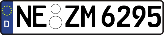 NE-ZM6295