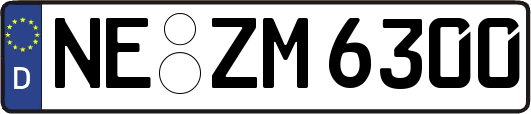 NE-ZM6300