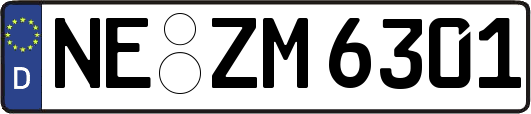 NE-ZM6301