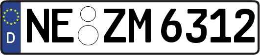 NE-ZM6312