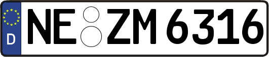 NE-ZM6316