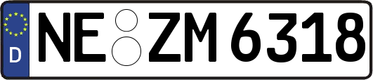 NE-ZM6318