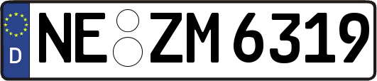 NE-ZM6319