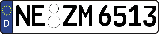 NE-ZM6513