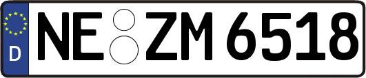 NE-ZM6518