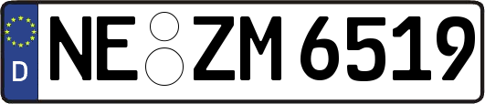 NE-ZM6519