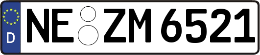 NE-ZM6521