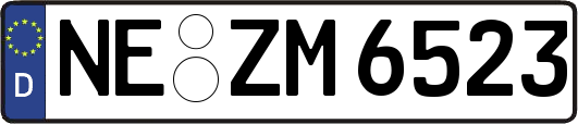 NE-ZM6523