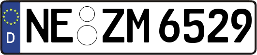 NE-ZM6529