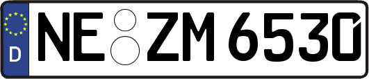 NE-ZM6530
