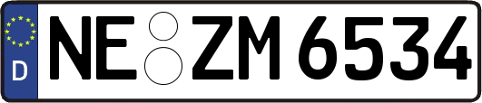 NE-ZM6534