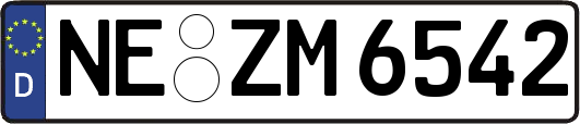 NE-ZM6542