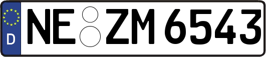 NE-ZM6543