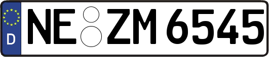 NE-ZM6545