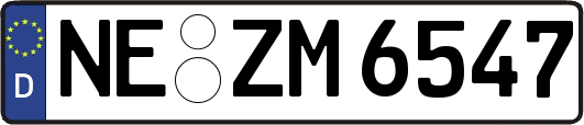 NE-ZM6547
