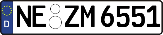 NE-ZM6551