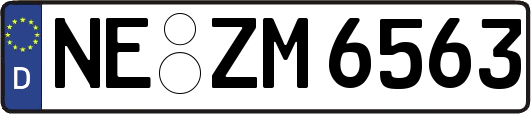 NE-ZM6563