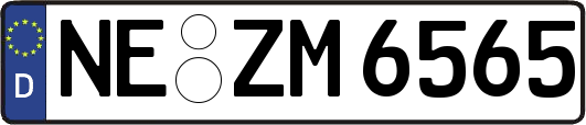 NE-ZM6565