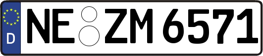 NE-ZM6571