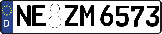 NE-ZM6573