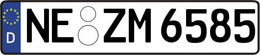 NE-ZM6585