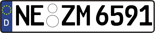 NE-ZM6591
