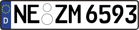 NE-ZM6593