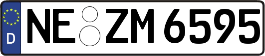 NE-ZM6595