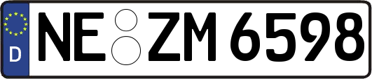 NE-ZM6598