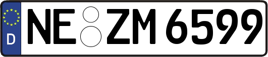 NE-ZM6599