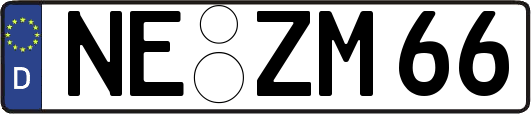 NE-ZM66