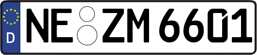 NE-ZM6601