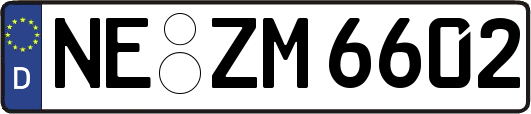NE-ZM6602