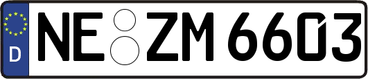 NE-ZM6603