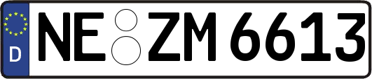 NE-ZM6613