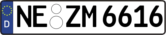 NE-ZM6616
