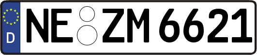 NE-ZM6621