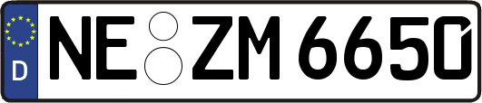 NE-ZM6650