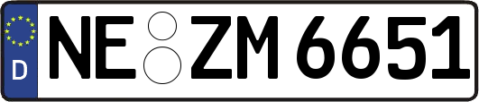 NE-ZM6651